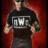 wwe2k14 artworks scott hall nwo