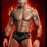 wwe2k15 artworks randy orton hop