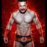 wwe2k15 artworks sheamus
