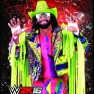 wwe2k16 artworks randy savage 91
