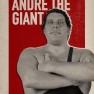 wwe2k17 artworks andre the giant