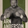 wwe2k17 artworks arn anderson