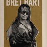 wwe2k17 artworks bret hart