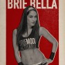 wwe2k17 artworks brie bella