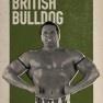 wwe2k17 artworks british bulldog