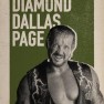 wwe2k17 artworks diamond dallas page