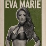 wwe2k17 artworks eva marie