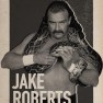 wwe2k17 artworks jake roberts