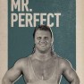 wwe2k17 artworks mr perfect