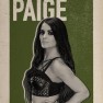 wwe2k17 artworks paige