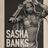 wwe2k17 artworks sasha banks