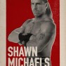 wwe2k17 artworks shawn michaels