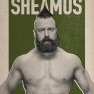 wwe2k17 artworks sheamus