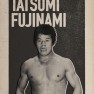 wwe2k17 artworks tatsumi fujinami