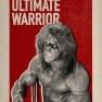 wwe2k17 artworks ultimate warrior