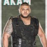 wwe2k18 artworks akam