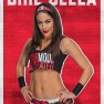 wwe2k18 artworks brie bella