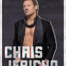 wwe2k18 artworks chris jericho