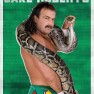 wwe2k18 artworks jake roberts