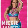 wwe2k18 artworks mickie james