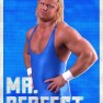 wwe2k18 artworks mr perfect