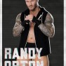 wwe2k18 artworks randy orton