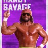 wwe2k18 artworks randy savage