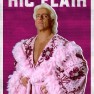 wwe2k18 artworks ric flair