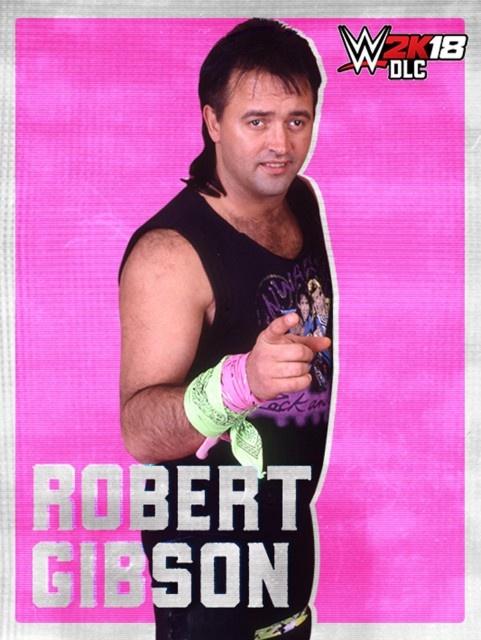 Robert Gibson WWE 2K18 Roster