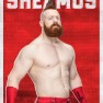 wwe2k18 artworks sheamus