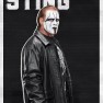 wwe2k18 artworks sting