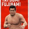 wwe2k18 artworks tatsumi fujinami