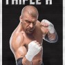wwe2k18 artworks triple h