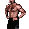 WWE13 Render Bradshaw