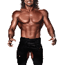 WWE13 Render BrianPillman