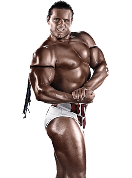 WWE13 Render BritishBulldog WWE13 Render BritishBulldog