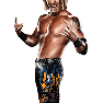 WWE13 Render HeathSlater