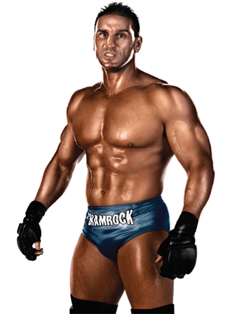 WWE13 Render KenShamrock WWE13 Render KenShamrock