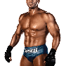WWE13 Render KenShamrock