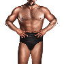 WWE13 Render PaulWight