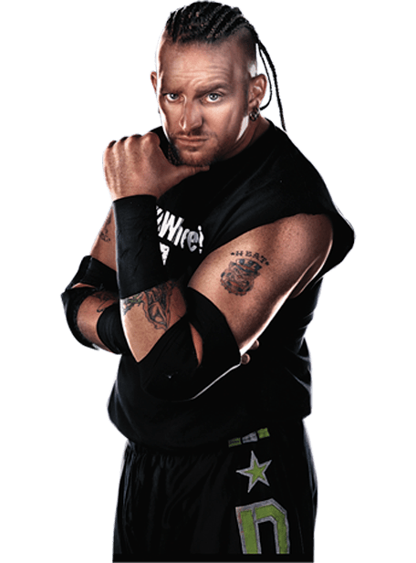 WWE13 Render RoadDogg WWE13 Render RoadDogg