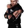 WWE13 Render RoadDogg