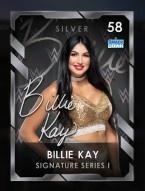 2 premium 2 signatureseriesi collectionset1 1 billiekay 58