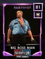 2 premium 22 survivorseries 6 bigbossman 81