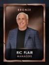 4 managers 4 ricflairseries 1 ricflair