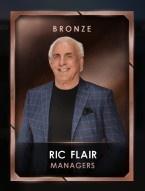 4 managers 4 ricflairseries 1 ricflair