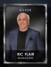 4 managers 4 ricflairseries 2 ricflair