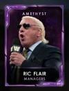 4 managers 4 ricflairseries 7 ricflair