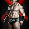 wwe13 artworks sheamus 2