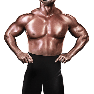 WWE13 Render RoadWarriorHawk